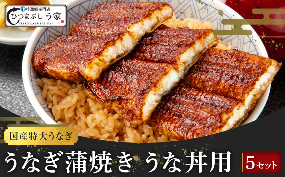 国産特大うなぎ蒲焼き（うな丼用５セット）