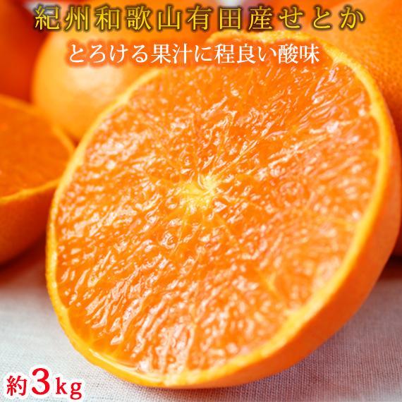 とろける食感！ジューシー柑橘せとか約3kg【2024年2月下旬頃～2024年3月上旬頃に順次発送】