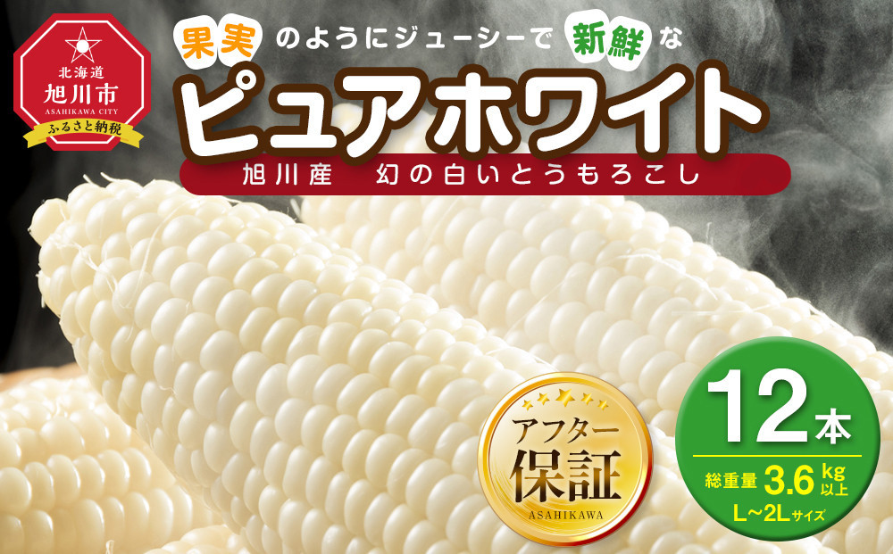 【2026年先行予約】白いとうもろこしピュアホワイト&nbsp;12本&nbsp;3.6kg(2026年8月下旬より発送予定)&nbsp;【&nbsp;人気&nbsp;北海道産&nbsp;糖度&nbsp;生&nbsp;野菜&nbsp;スイートコーン&nbsp;産地直送&nbsp;バーベキュー&nbsp;BBQ&nbsp;コーン&nbsp;旬&nbsp;お取り寄せ&nbsp;旭川市&nbsp;北海道&nbsp;送料無料&nbsp;】_00407