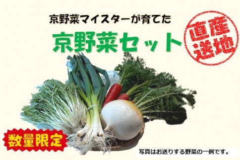 先行予約【京やさい佐伯】京野菜セット ＜数量限定＞