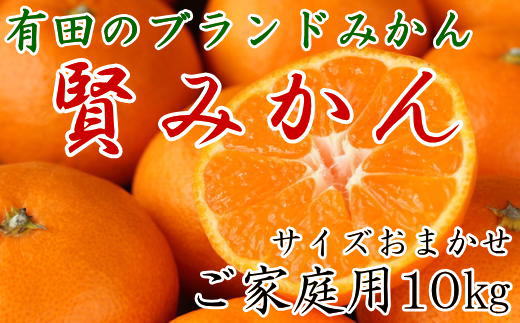 有田のブランド「賢みかん」10kg(S～Lサイズおまかせ）ご家庭用【2024年11月中旬頃より順次発送】