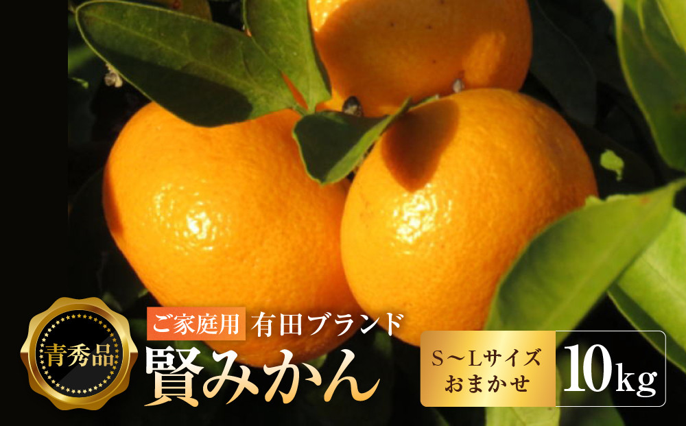 有田のブランド「賢みかん」10kg(S～Lサイズおまかせ）ご家庭用［2026年11月中旬頃より順次発送］