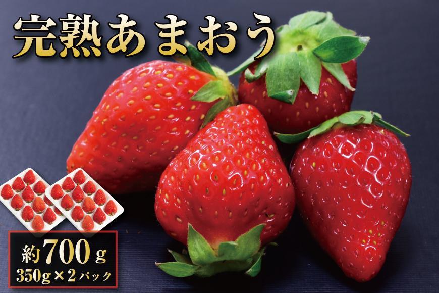 【12月中旬以降出荷予定】完熟&nbsp;あまおう&nbsp;イチゴ&nbsp;350g×2パック(約700g)＜配送不可：北海道、沖縄県、離島＞