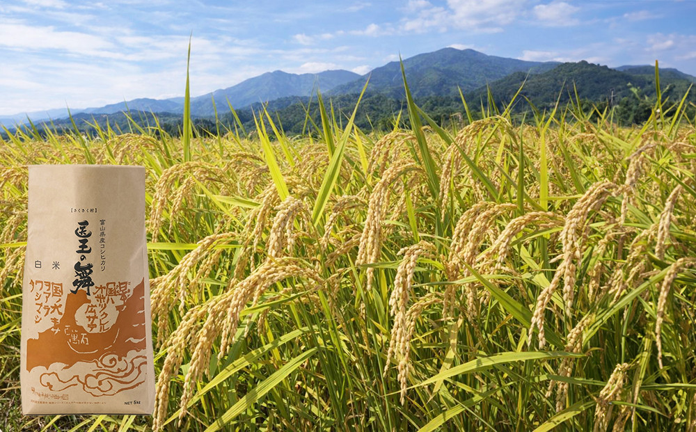 富山県産コシヒカリ『医王の舞』白米5kg