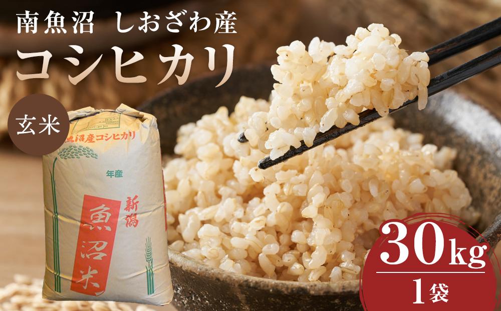 【令和６年度産  新米予約】３０Ｋｇ玄米  南魚沼しおざわ産コシヒカリ《語り伝えられる地》