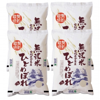 【令和5年度産】ひとめぼれ無洗米20kg(5kg×4袋) 和紙袋仕様