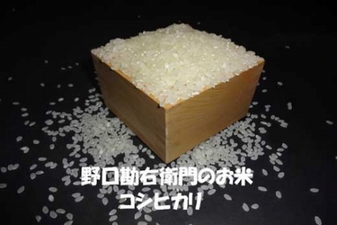 【5年産】野口勘右衛門のお米「安心栽培米（コシヒカリ）」精米9kg
