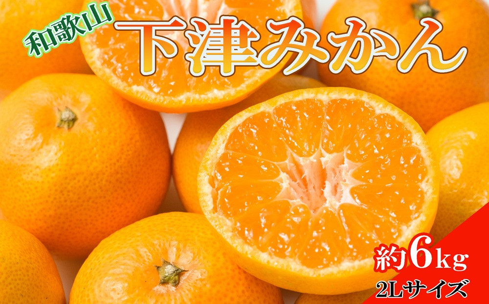 ［産直・秀品］和歌山下津みかん約6kg（2Lサイズ）★2026年11月中旬頃より順次発送［TM75］