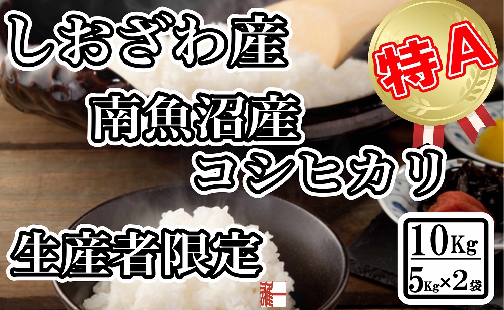 【令和7年産】生産者限定&nbsp;契約栽培&nbsp;南魚沼しおざわ産コシヒカリ10Kg（5Kg×2袋）【2025年10月上旬より順次発送予定】