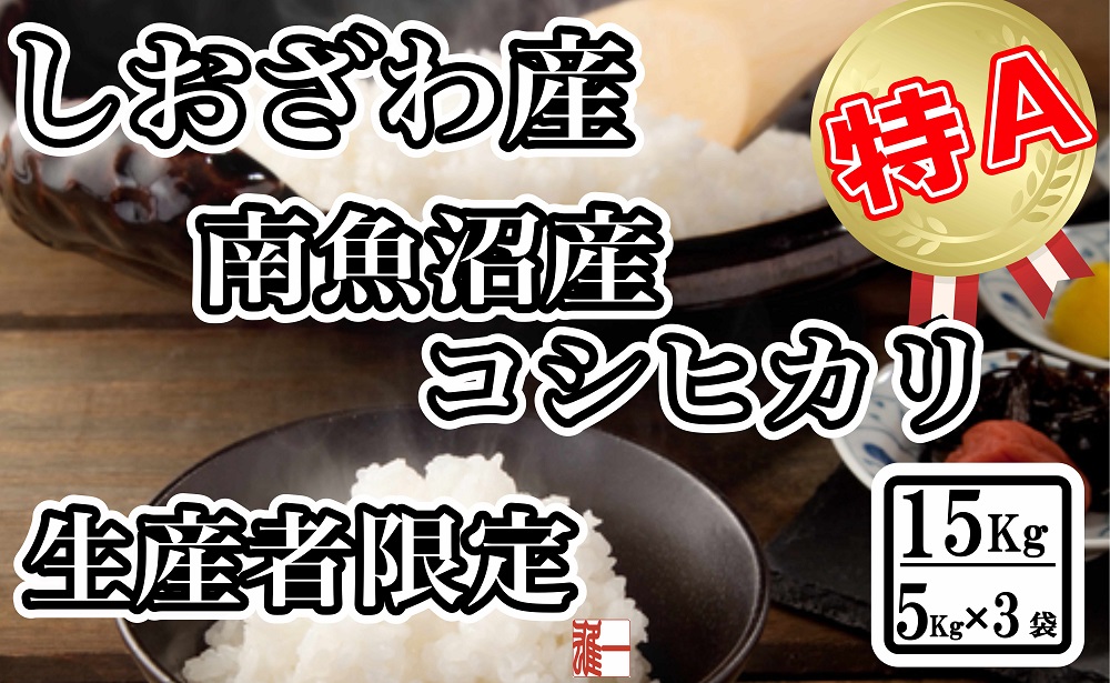 【令和7年産】生産者限定&nbsp;契約栽培&nbsp;南魚沼しおざわ産コシヒカリ15Kg（５Kg×3袋）【2025年10月上旬より順次発送予定】
