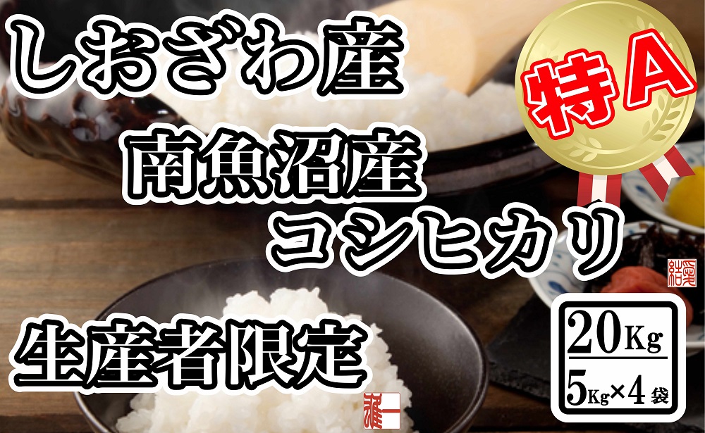 【令和7年産】生産者限定&nbsp;契約栽培&nbsp;南魚沼しおざわ産コシヒカリ20Kg（５Kg&nbsp;×4袋）【2025年10月上旬より順次発送予定】