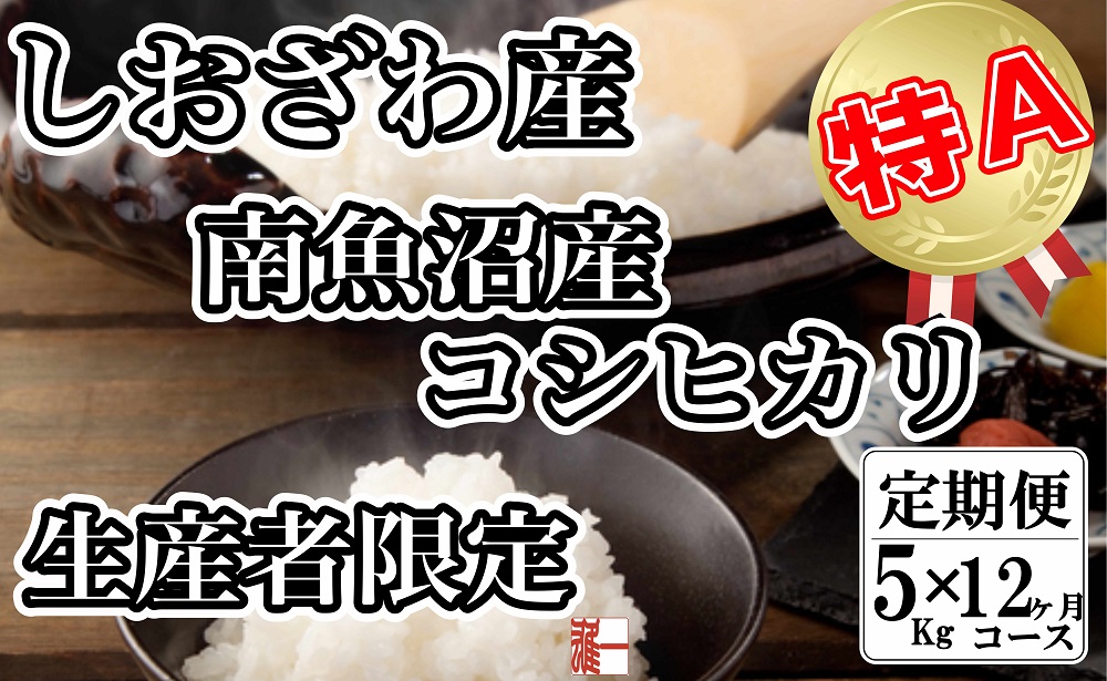 【令和7年産】【定期便：&nbsp;5Kg×12ヶ月】生産者限定&nbsp;契約栽培&nbsp;南魚沼しおざわ産コシヒカリ【2025年10月上旬より順次発送予定】