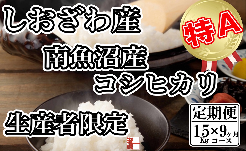 【令和7年産】【定期便：15Kg×9ヶ月】生産者限定&nbsp;契約栽培&nbsp;南魚沼しおざわ産コシヒカリ【2025年10月上旬より順次発送予定】