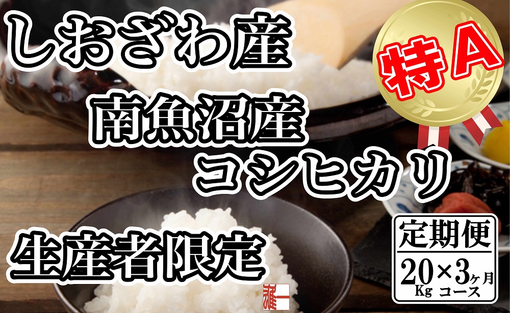 【令和7年産】【定期便：20Kg×3ヶ月】生産者限定&nbsp;契約栽培&nbsp;南魚沼しおざわ産コシヒカリ【2025年10月上旬より順次発送予定】