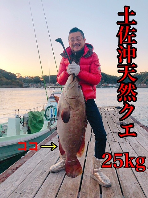 幻の天然クエ直送 クエ鍋用1 6kg Jtbのふるさと納税サイト ふるぽ