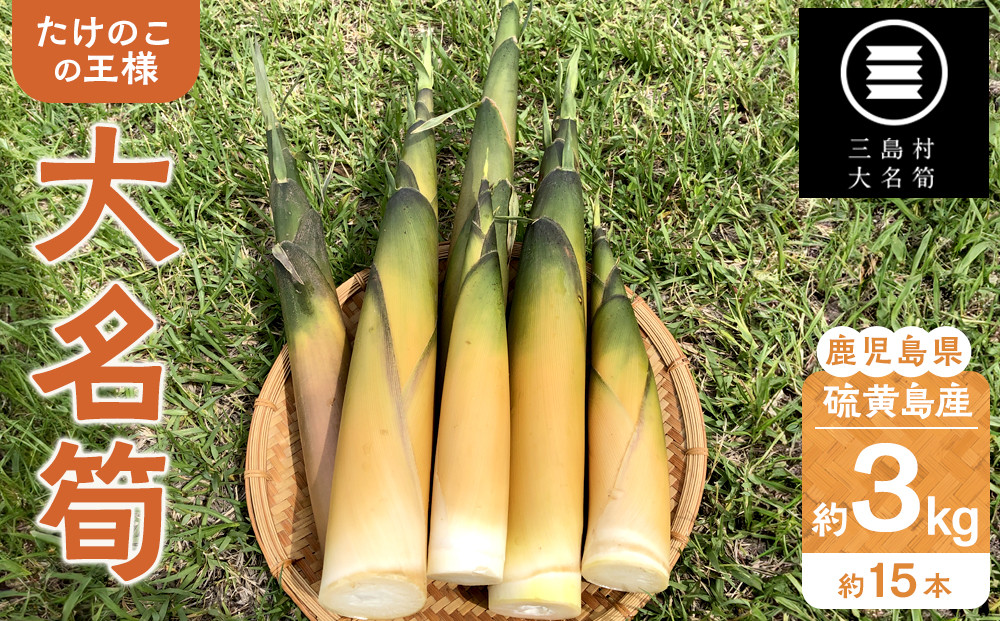 【2026年お届け】大名筍 3kg ( 約15本 ) ( 硫黄島産 )～2026年5月初旬以降順次発送予定～