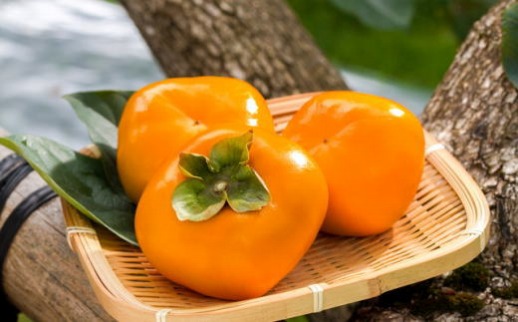 ふるさと納税 海南市 和歌山産たねなし柿ご家庭用約7.5kg(サイズおまかせまたは混合)(海南市) 2025年9月下旬以降発送 ◇先行予約◇ 和歌山県産 平核無柿＜ご家庭用