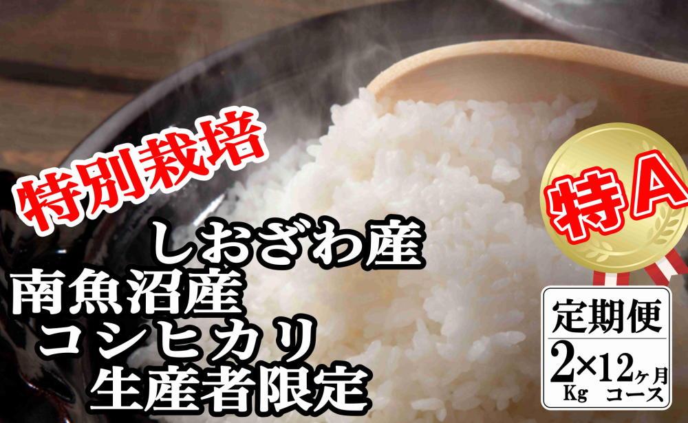 【定期便：2Kg×12ヶ月】特別栽培 生産者限定 南魚沼しおざわ産コシヒカリ