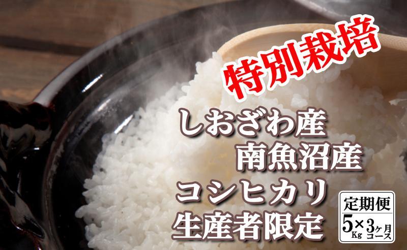 【定期便：5Kg×3ヶ月】特別栽培 生産者限定  南魚沼しおざわ産コシヒカリ