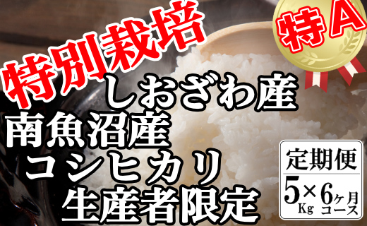 【定期便：5Kg×6ヶ月】特別栽培 生産者限定  南魚沼しおざわ産コシヒカリ