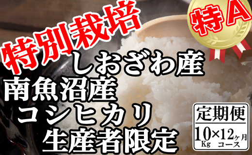 【定期便：10Kg×12ヶ月】特別栽培 生産者限定 南魚沼しおざわ産コシヒカリ