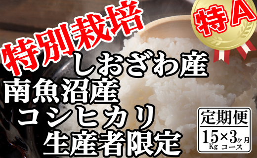 【定期便：15Kg×3ヶ月】特別栽培 生産者限定  南魚沼しおざわ産コシヒカリ