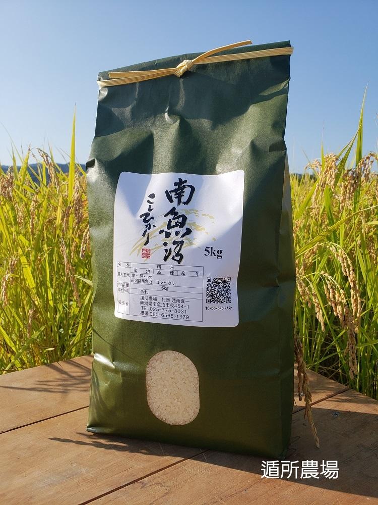 【令和8年産新米予約】【お米定期便/全６回】南魚沼産コシヒカリ　　白米５ｋｇ【定期便&nbsp;銘柄米&nbsp;ブランド米&nbsp;精米&nbsp;こしひかり&nbsp;コシヒカリ&nbsp;魚沼産&nbsp;新潟米&nbsp;産地直送&nbsp;お米&nbsp;米】【2026年10月中旬から1ヶ月以内に順次発送予定】