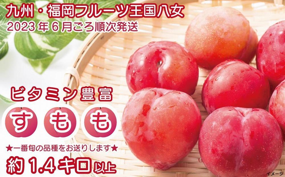 日本専門店 すもも 大石早生 家庭用 約10㎏ | www.oric.kinnaird.edu.pk