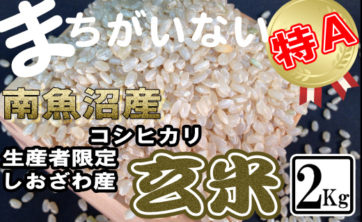 【令和7年産】玄米&nbsp;生産者限定&nbsp;南魚沼しおざわ産コシヒカリ2Kg