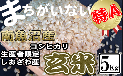 【令和7年産】玄米&nbsp;生産者限定&nbsp;南魚沼しおざわ産コシヒカリ5Kg