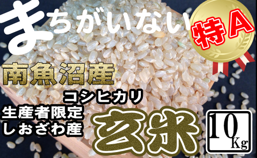 【令和7年産】玄米&nbsp;生産者限定&nbsp;南魚沼しおざわ産コシヒカリ10Kg
