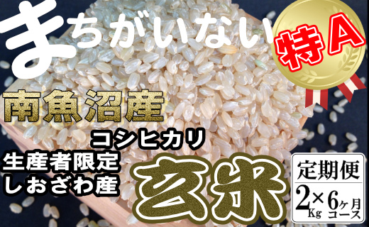 【定期便】玄米 生産者限定 南魚沼しおざわ産コシヒカリ2Kg×6ヶ月