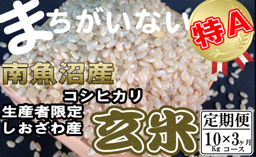 【定期便】玄米 生産者限定 南魚沼しおざわ産コシヒカリ10Kg×3ヶ月