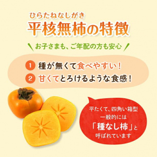 先行予約 和歌山県産 平核無柿 ご家庭用 約10kg 【 柿 種無し たねなし