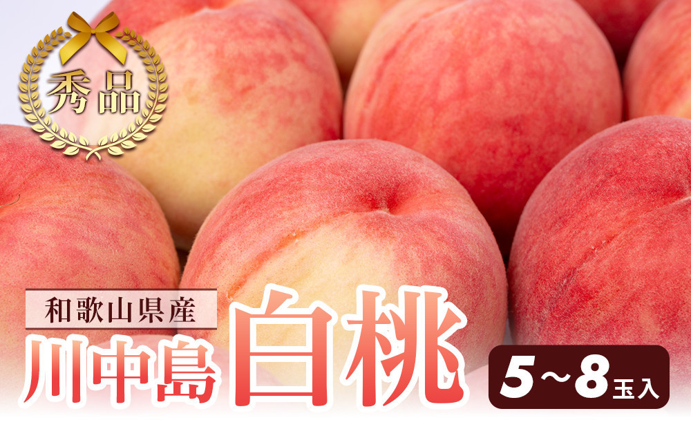 和歌山県産&nbsp;川中島白桃&nbsp;5～8玉入り&nbsp;秀品&nbsp;先行予約［2026年7月下旬以降発送］［MG7］