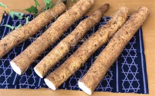 【自宅用】よくばり自然薯セット