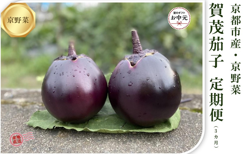 ＜3回定期便/2026年7～9月発送＞【先行予約特典付き】京ブランド野菜・賀茂茄子（かもなす）6個&nbsp;約1.5kg×3回