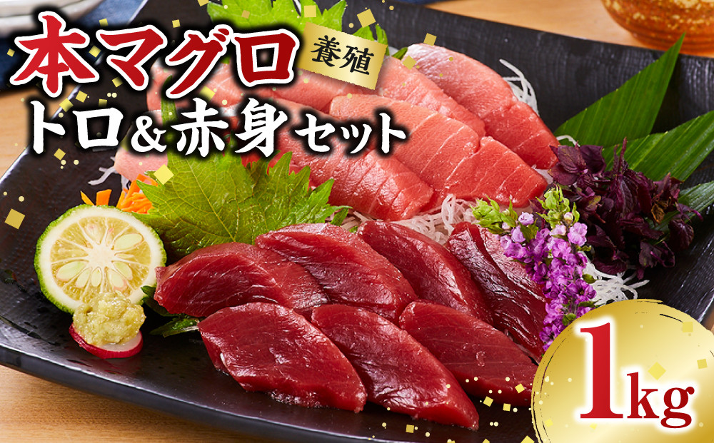 本マグロ（養殖）トロ＆赤身セット&nbsp;1kg［KS13］