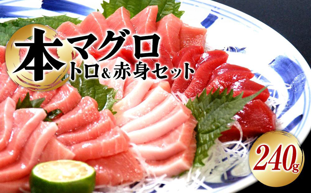 本マグロ（養殖）トロ＆赤身セット　240g［KS11］