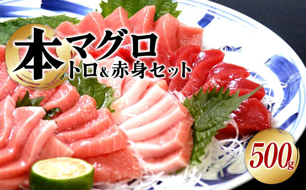 本マグロ（養殖）トロ＆赤身セット　500g［KS12］