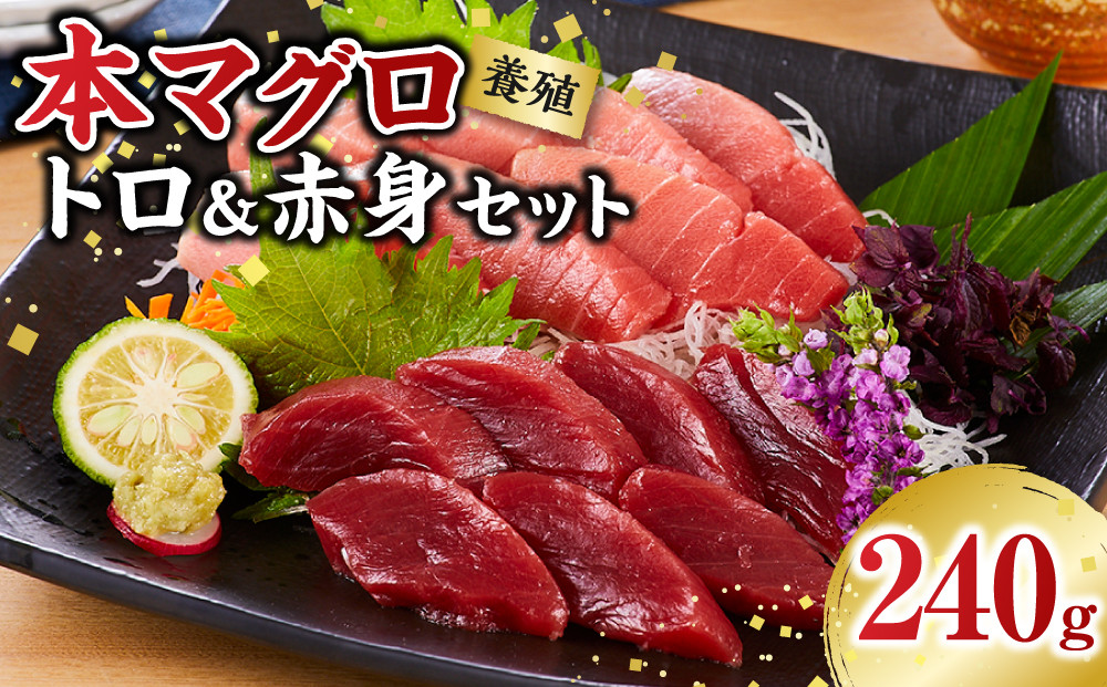 本マグロ（養殖）トロ＆赤身セット&nbsp;240g［KS11］