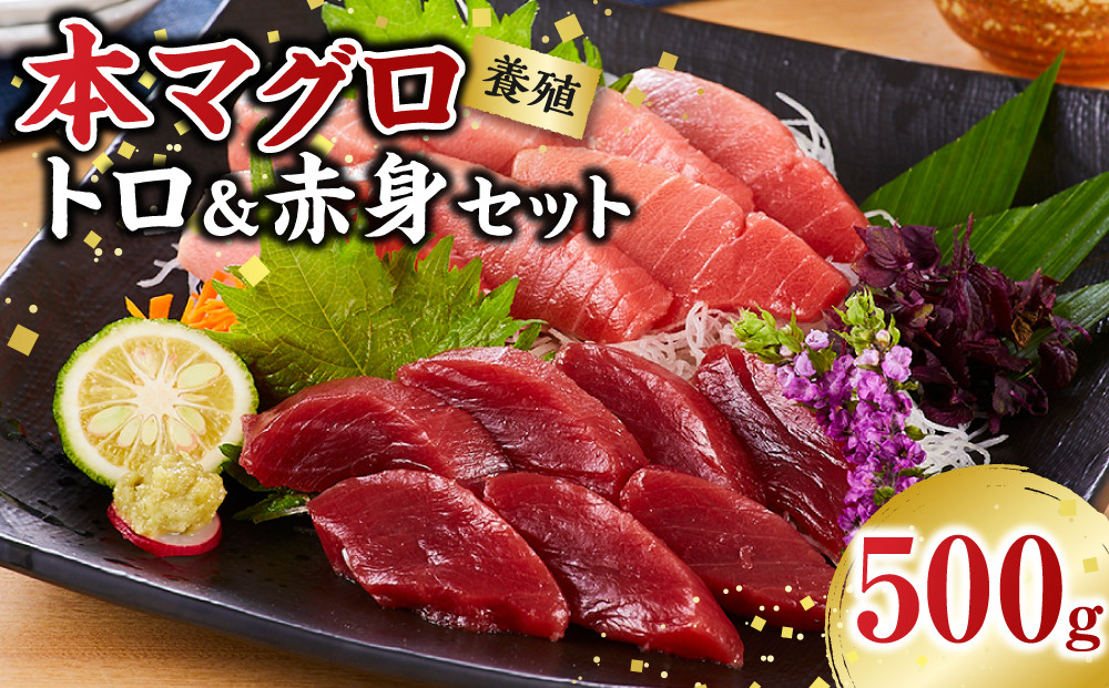 本マグロ（養殖）トロ＆赤身セット&nbsp;500g［KS12］