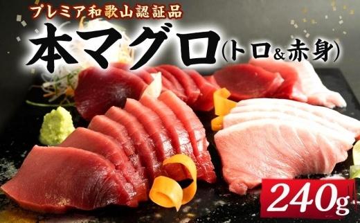 プレミア和歌山認証品 本マグロ（養殖）トロ＆赤身セット　240g【年末発送（12月25日～29日発送）】