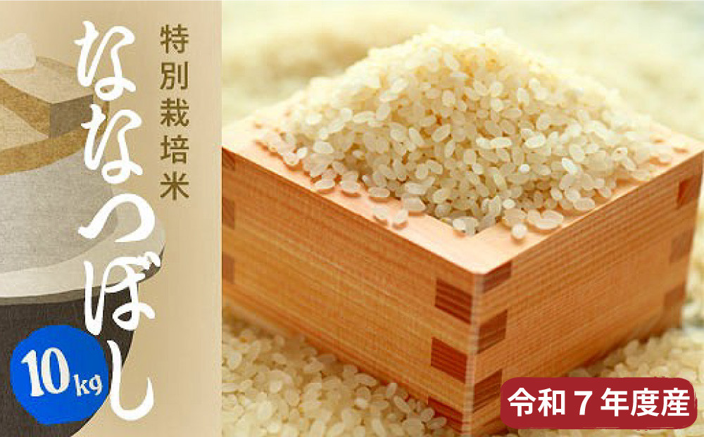 【R7年産新米】北海道産特別栽培米&nbsp;アポイ米（ななつぼし）10kg（5kg×2袋）