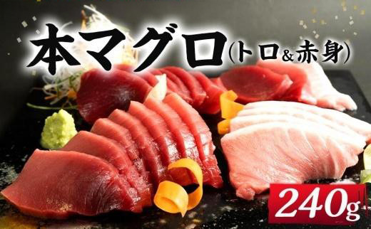 本マグロ（養殖）トロ＆赤身セット　240g［KS11］
