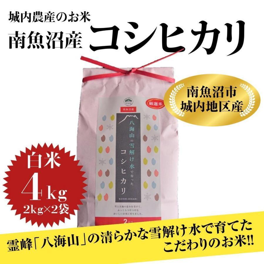 【令和6年産 】新潟県 南魚沼産 コシヒカリ お米 こしひかり 精米 白米 のし 贈り物  熨斗 贈答用 令和6年産 城内農産 特A地区米 4kg(2kg×2袋)