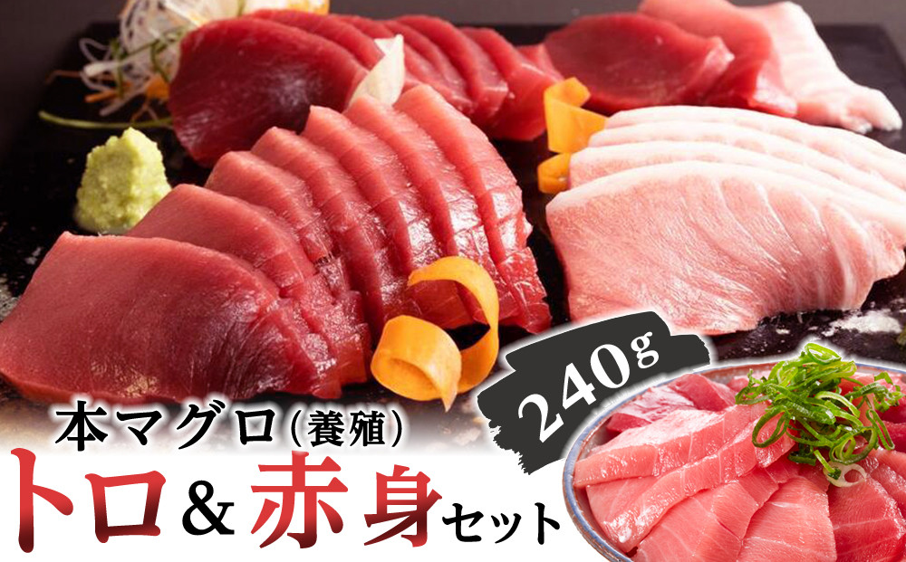 本マグロ（養殖）トロ＆赤身セット&nbsp;240g［KS11］マグロ&nbsp;国産&nbsp;本まぐろマグロ&nbsp;まぐろ&nbsp;鮪&nbsp;刺身&nbsp;海鮮丼&nbsp;お刺身&nbsp;まぐろ丼&nbsp;お寿司&nbsp;手巻き寿司&nbsp;人気マグロ&nbsp;おすすめマグロ&nbsp;ギフト&nbsp;贈答&nbsp;まぐろ和歌山&nbsp;那智勝浦&nbsp;まぐろ水揚げNO.1&nbsp;マグロ刺身&nbsp;冷凍マグロ&nbsp;本マグロ&nbsp;まぐろ刺身&nbsp;紀州勝浦まぐろ&nbsp;海鮮&nbsp;魚介類&nbsp;魚&nbsp;さかな&nbsp;マグロ&nbsp;高評価&nbsp;和歌山県&nbsp;那智勝浦町