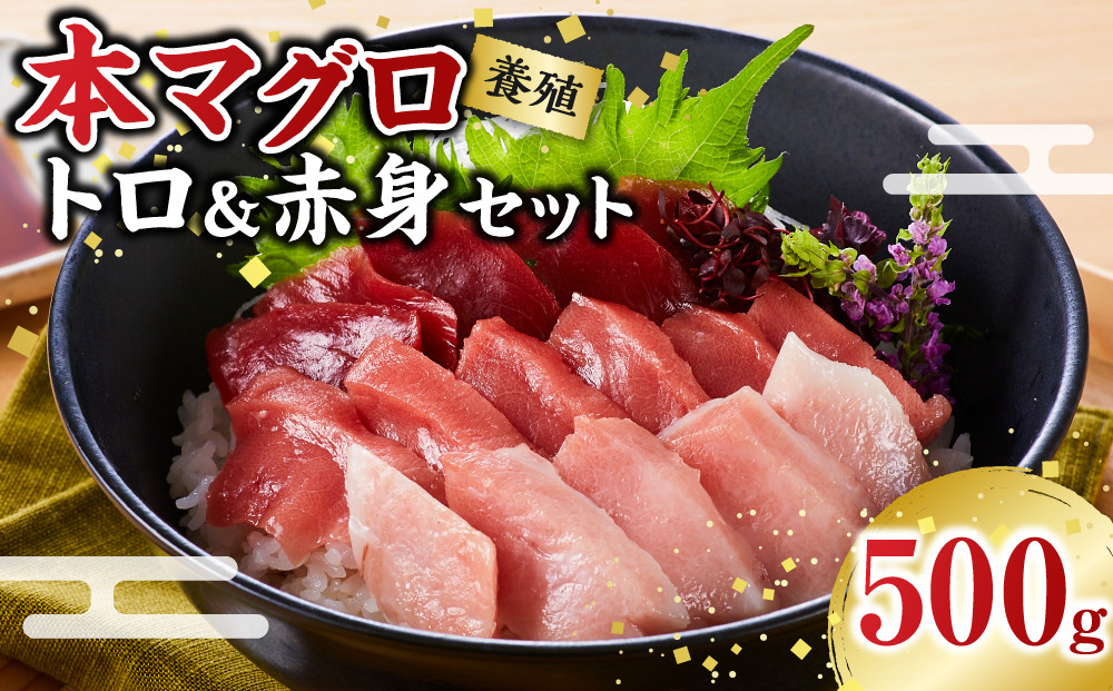 本マグロ（養殖）トロ＆赤身セット&nbsp;500g［KS12］&nbsp;マグロ&nbsp;国産&nbsp;本まぐろマグロ&nbsp;まぐろ&nbsp;鮪&nbsp;刺身&nbsp;まぐろ海鮮丼&nbsp;お刺身&nbsp;まぐろ丼&nbsp;お寿司&nbsp;手巻き寿司&nbsp;人気マグロ&nbsp;おすすめマグロ&nbsp;ギフト&nbsp;贈答&nbsp;まぐろ和歌山&nbsp;那智勝浦&nbsp;まぐろ水揚げNO.1&nbsp;マグロ刺身&nbsp;冷凍マグロ&nbsp;本マグロ&nbsp;まぐろ刺身&nbsp;紀州勝浦まぐろ&nbsp;海鮮&nbsp;魚介類&nbsp;魚&nbsp;さかな&nbsp;マグロ&nbsp;まぐろ&nbsp;高評価&nbsp;和歌山県&nbsp;那智勝浦町