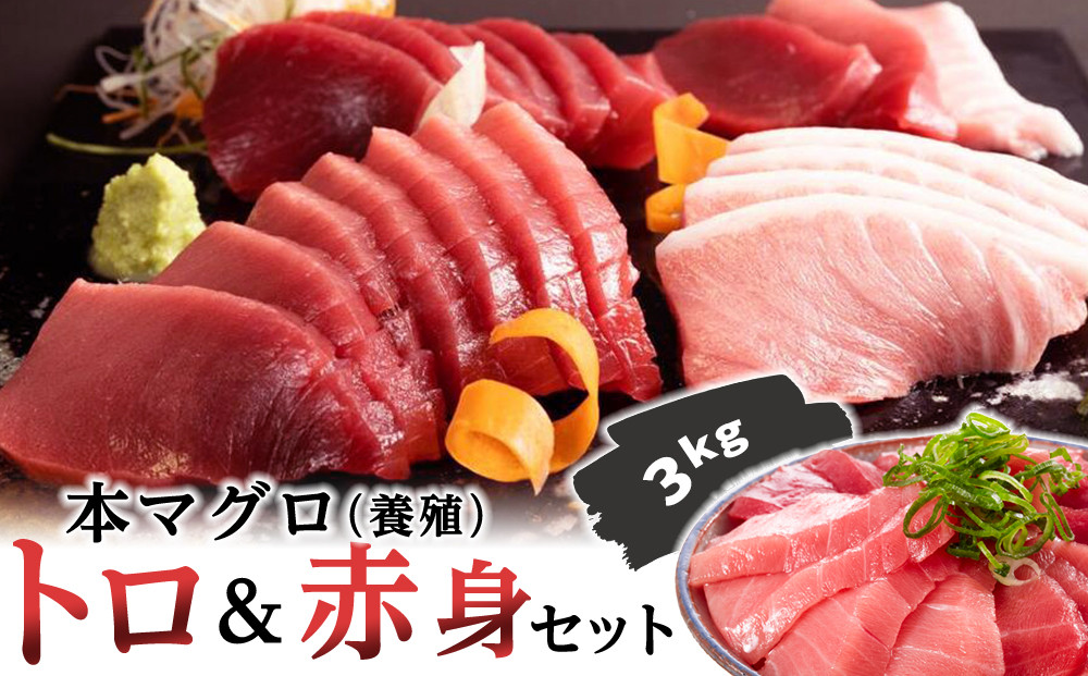 本マグロ（養殖）トロ＆赤身セット　3kg［KS14］　マグロ&nbsp;国産&nbsp;本まぐろマグロ&nbsp;まぐろ&nbsp;鮪&nbsp;刺身&nbsp;海鮮丼&nbsp;お刺身&nbsp;まぐろ丼&nbsp;お寿司&nbsp;手巻き寿司&nbsp;人気マグロ&nbsp;おすすめマグロ&nbsp;ギフト&nbsp;贈答&nbsp;まぐろ和歌山&nbsp;那智勝浦&nbsp;まぐろ水揚げNO.1&nbsp;マグロ刺身&nbsp;冷凍マグロ&nbsp;本マグロ&nbsp;まぐろ刺身&nbsp;紀州勝浦まぐろ&nbsp;海鮮&nbsp;魚介類&nbsp;魚&nbsp;さかな&nbsp;マグロ&nbsp;高評価&nbsp;和歌山県&nbsp;那智勝浦町