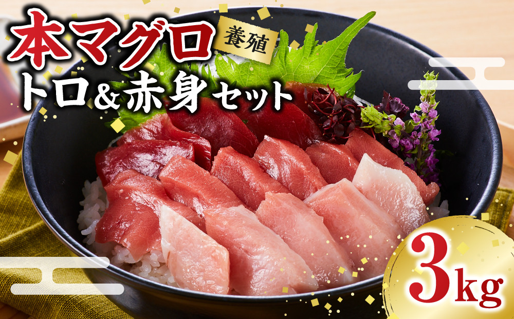 本マグロ（養殖）トロ＆赤身セット&nbsp;3kg［KS14］&nbsp;マグロ&nbsp;国産&nbsp;本まぐろマグロ&nbsp;まぐろ&nbsp;鮪&nbsp;刺身&nbsp;海鮮丼&nbsp;お刺身&nbsp;まぐろ丼&nbsp;お寿司&nbsp;手巻き寿司&nbsp;人気マグロ&nbsp;おすすめマグロ&nbsp;ギフト&nbsp;贈答&nbsp;まぐろ和歌山&nbsp;那智勝浦&nbsp;まぐろ水揚げNO.1&nbsp;マグロ刺身&nbsp;冷凍マグロ&nbsp;本マグロ&nbsp;まぐろ刺身&nbsp;紀州勝浦まぐろ&nbsp;海鮮&nbsp;魚介類&nbsp;魚&nbsp;さかな&nbsp;マグロ&nbsp;高評価&nbsp;和歌山県&nbsp;那智勝浦町